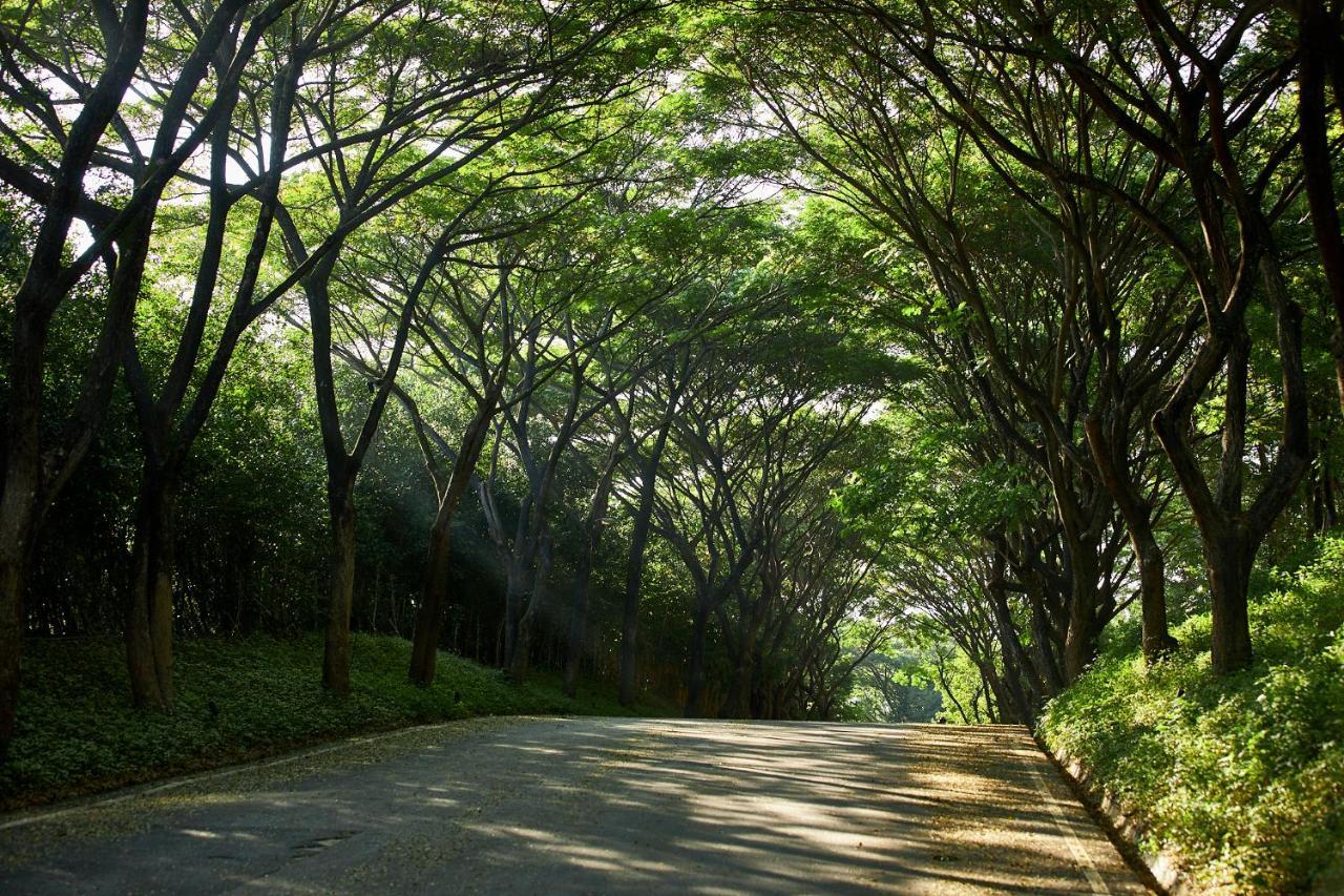Intercontinental Khao Yai Resort By Ihg Pak Chong Zewnętrze zdjęcie
